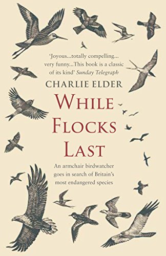 While Flocks Last: An Armchair Birdwatcher Goes in Search of Our Most Endangered Species von Penguin